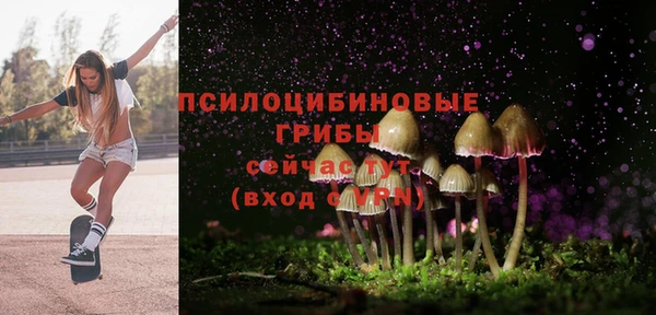 скорость Абаза