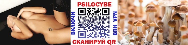 Псилоцибиновые грибы Psilocybe  Руза 