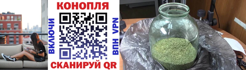 где продают наркотики  Руза  Канабис White Widow 